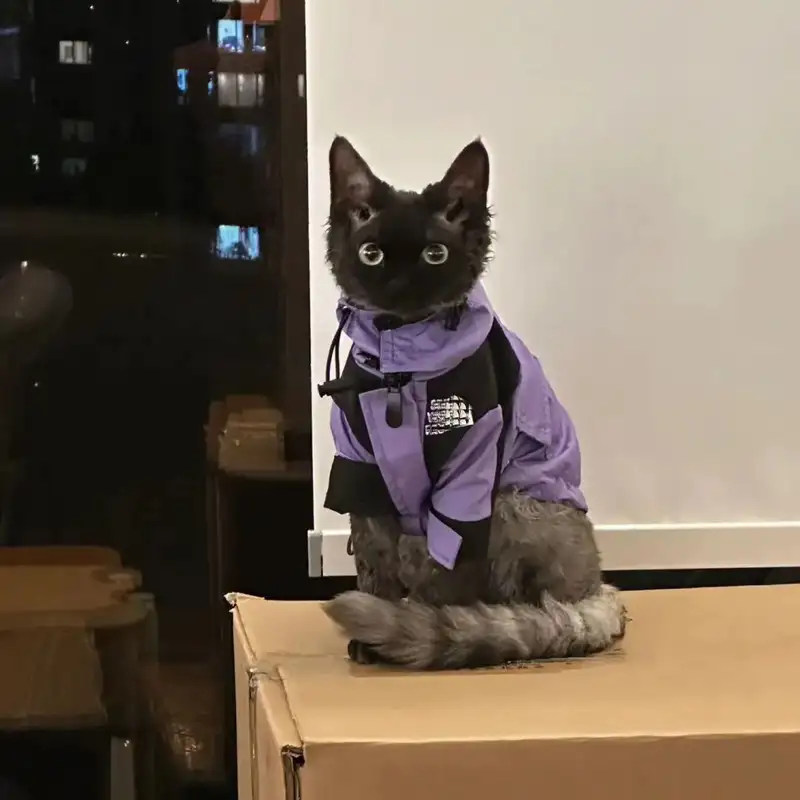 dog-cloth-912-842- (1)